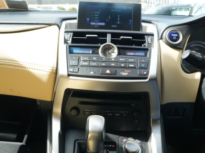 2017 Lexus NX
