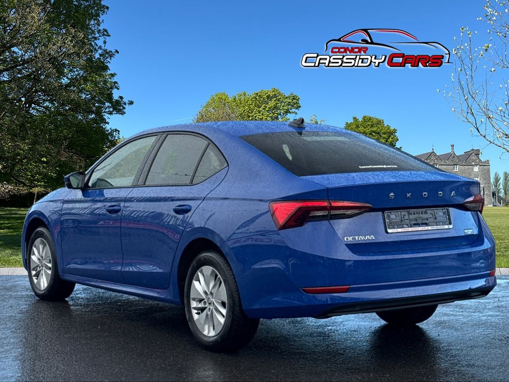 2023 Skoda Octavia