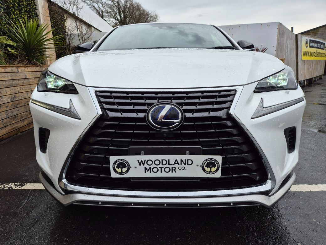 2021 Lexus NX 300h