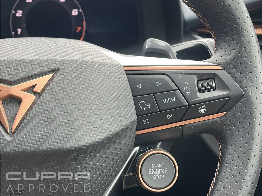 2025 Cupra Terramar