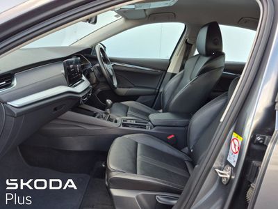 2023 Skoda Octavia