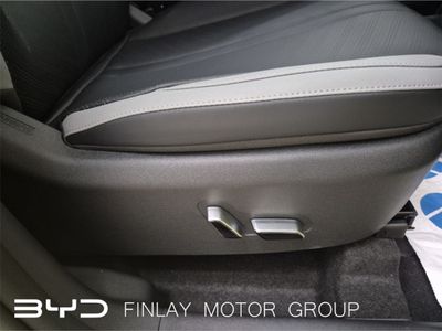 2026 BYD Dolphin Surf