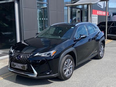 2022 Lexus UX 300e