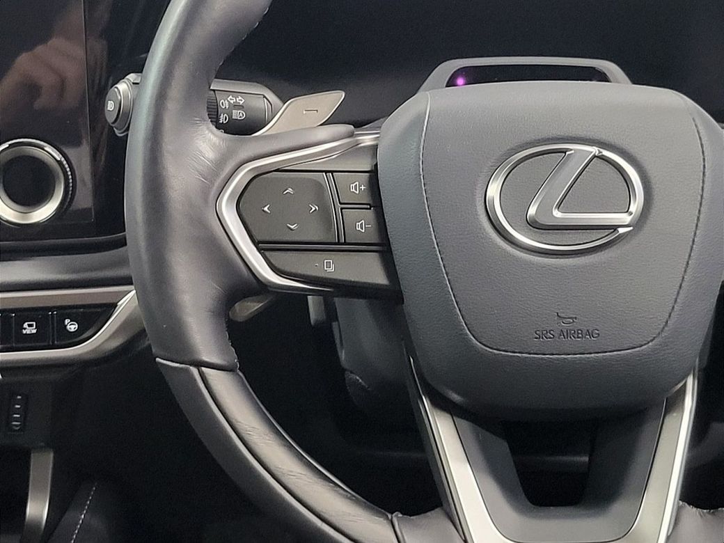 2025 Lexus RX