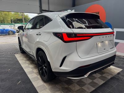 2023 Lexus NX