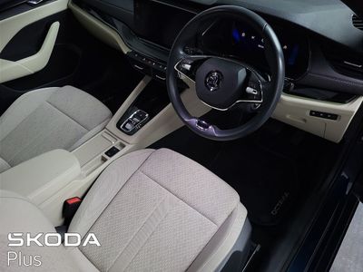 2023 Skoda Octavia