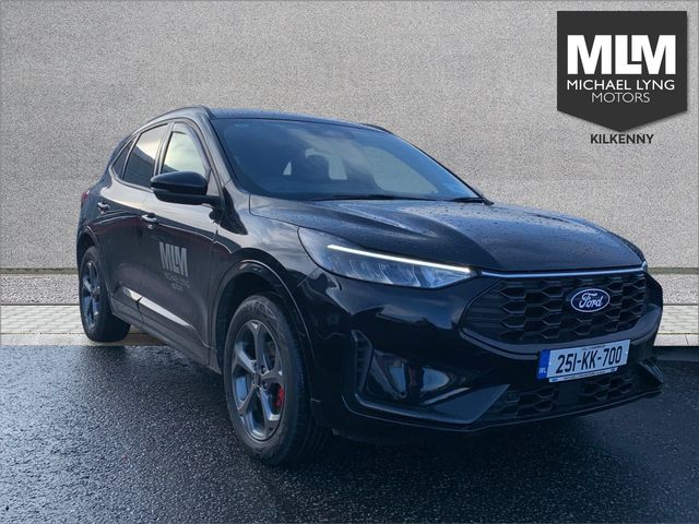 vehicle for sale from Michael Lyng Motors