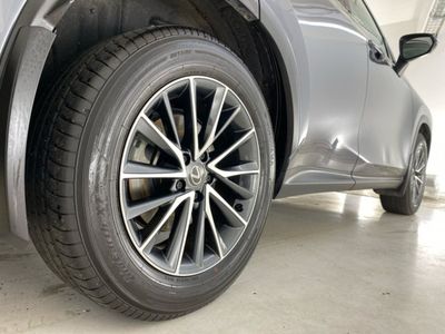 2023 Lexus NX