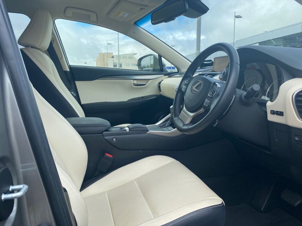 2019 Lexus NX
