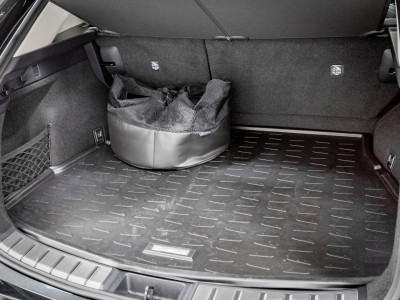 2024 Lexus NX 450H+