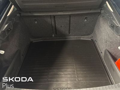 2023 Skoda Octavia