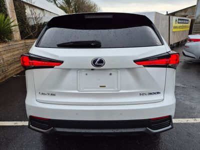 2021 Lexus NX 300h