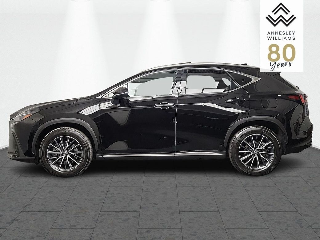 2025 Lexus NX