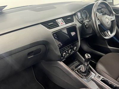 2019 Skoda Octavia