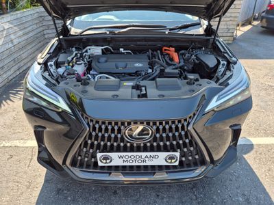 2023 Lexus NX 450H+