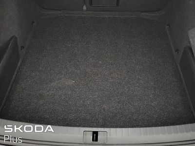2023 Skoda Octavia