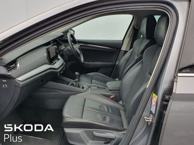 2023 Skoda Octavia