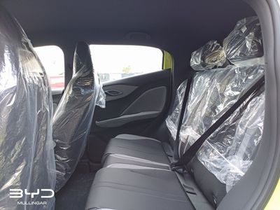 2026 BYD Dolphin Surf