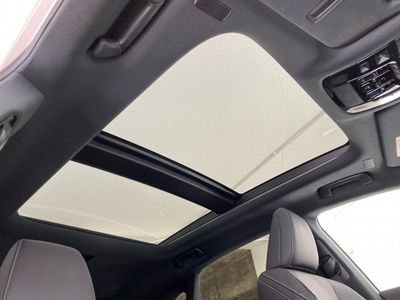 2023 Lexus RX450h+