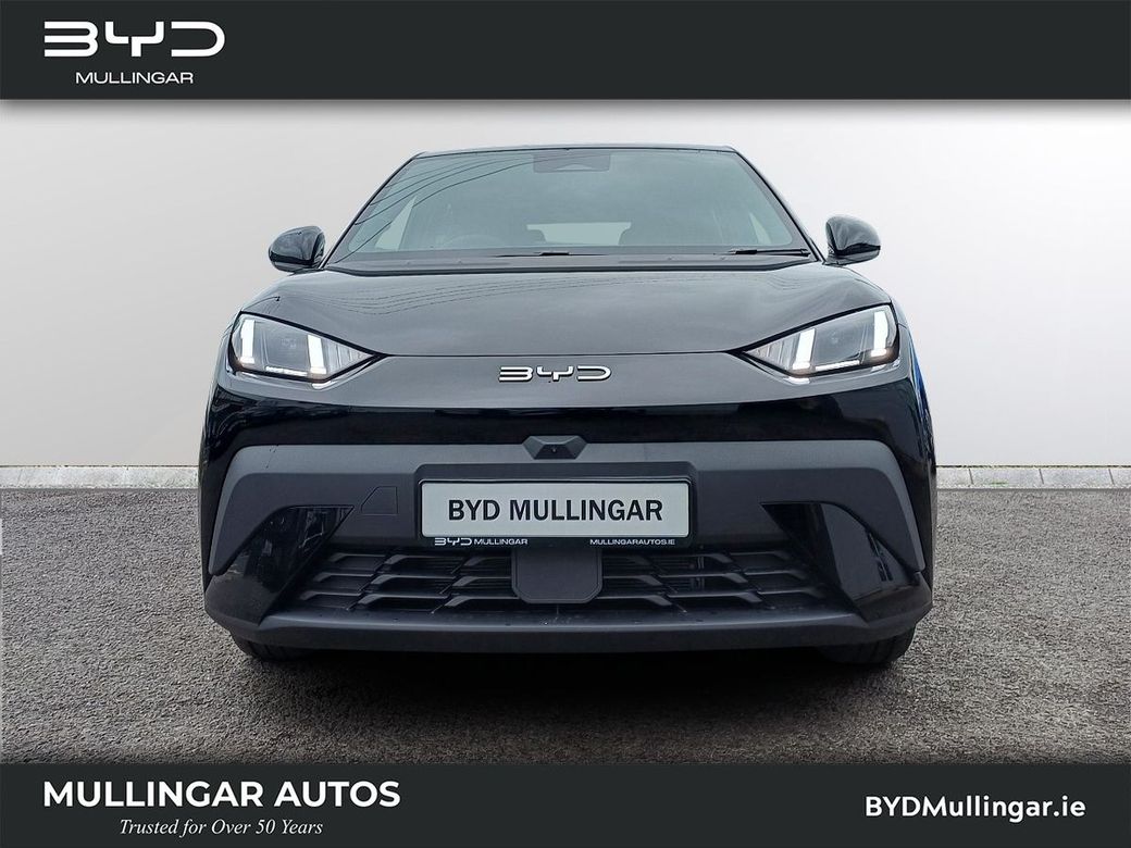 2026 BYD Dolphin Surf