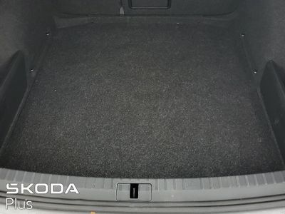 2023 Skoda Octavia