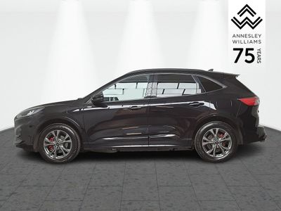 2023 Ford Kuga