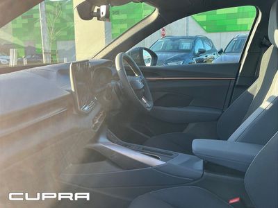 2026 Cupra Terramar
