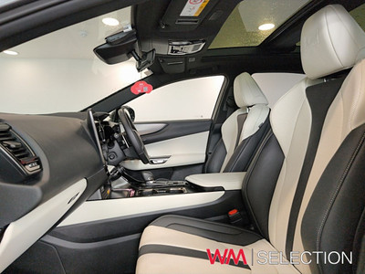 2025 Lexus NX