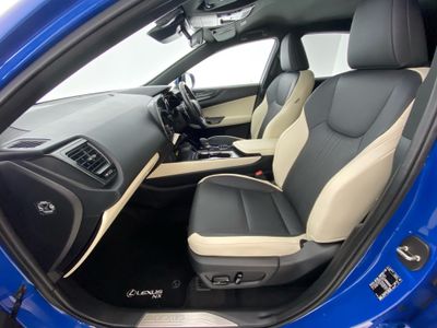 2024 Lexus NX 450H+