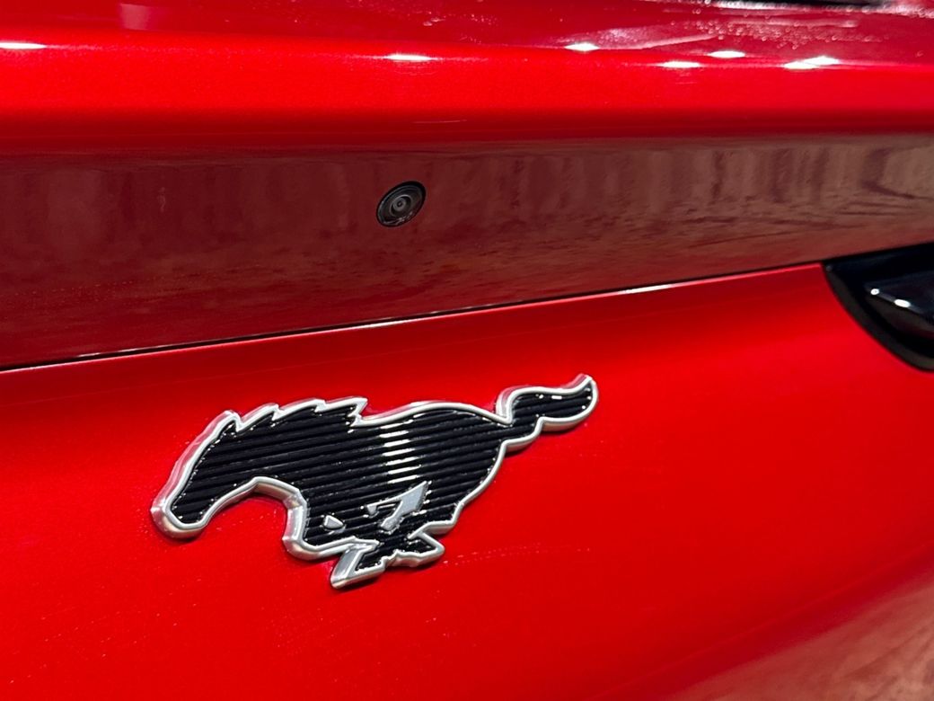 2021 Ford Mustang Mach-e