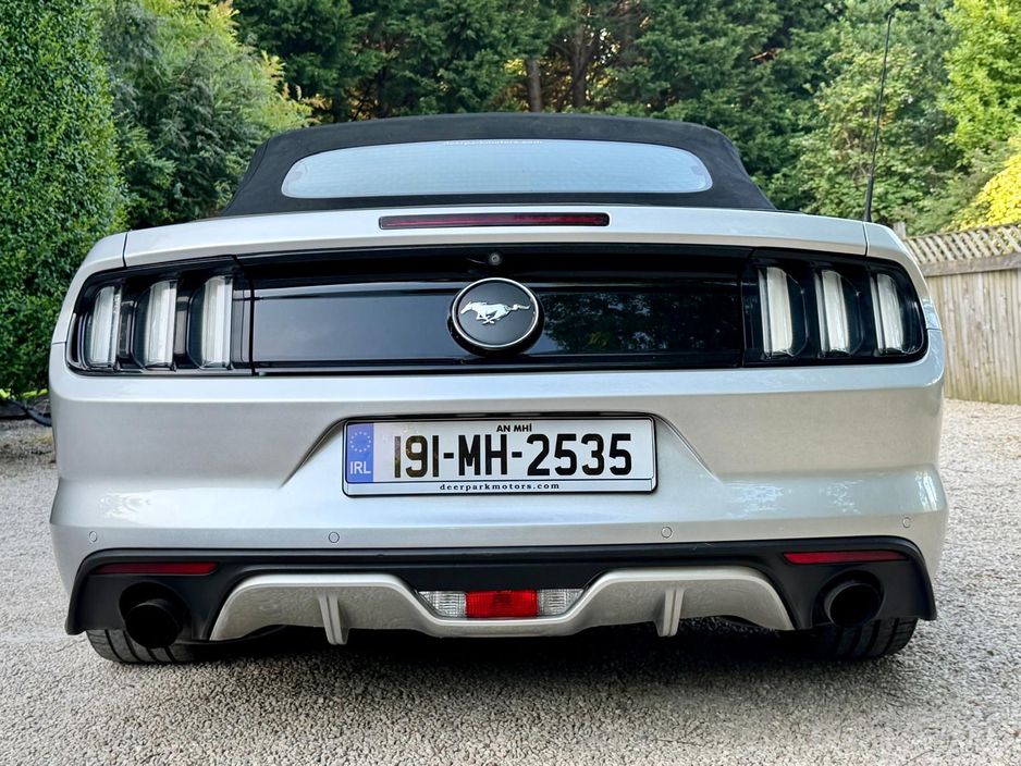 2019 Ford Mustang