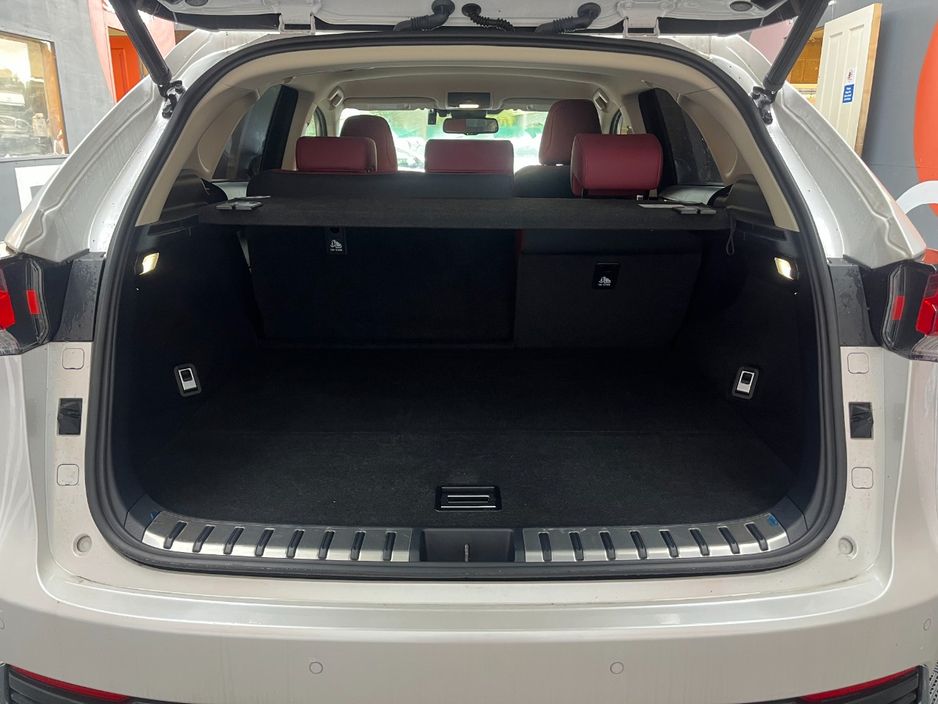 2019 Lexus NX 300h