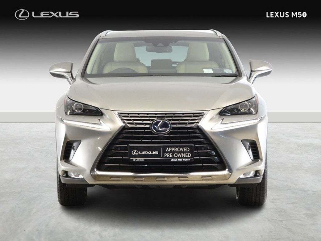 2019 Lexus NX