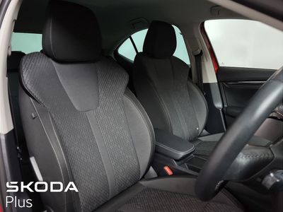 2023 Skoda Octavia