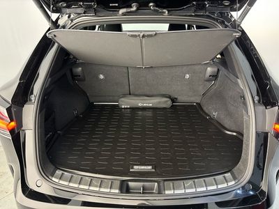 2023 Lexus NX 450H+