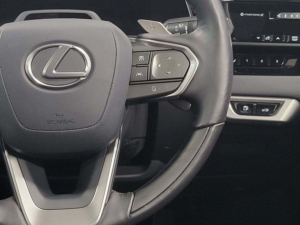 2025 Lexus RX