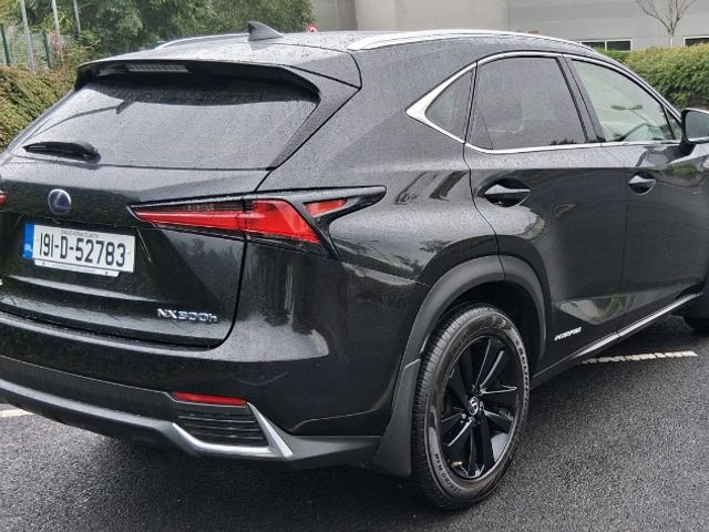 2019 Lexus NX
