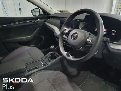 2023 Skoda Octavia