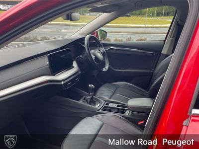 2023 Skoda Octavia
