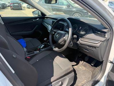 2023 Skoda Octavia