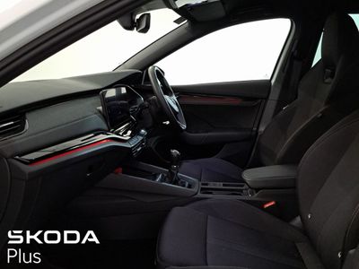 2023 Skoda Octavia