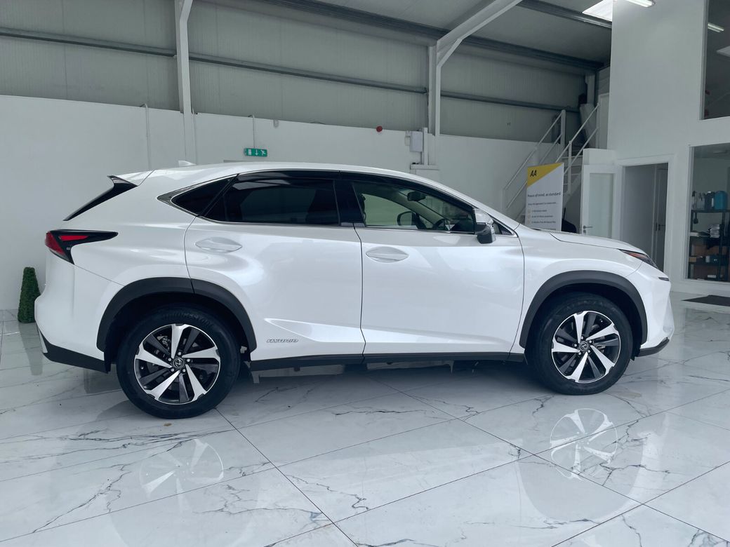 2019 Lexus NX