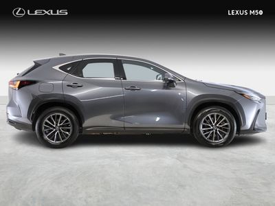 2022 Lexus NX 450H+