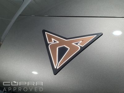 2025 Cupra Tavascan