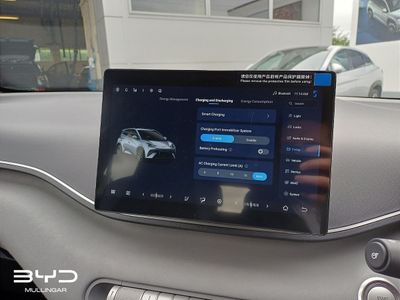 2026 BYD Dolphin Surf
