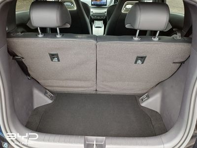 2026 BYD Dolphin Surf