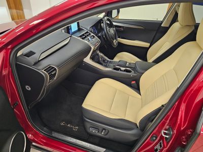 2020 Lexus NX