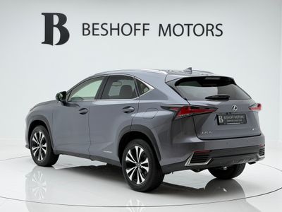 2021 Lexus NX 300h