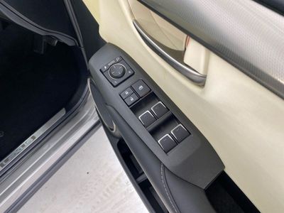 2019 Lexus NX 300h