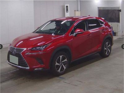 2019 Lexus NX 300h